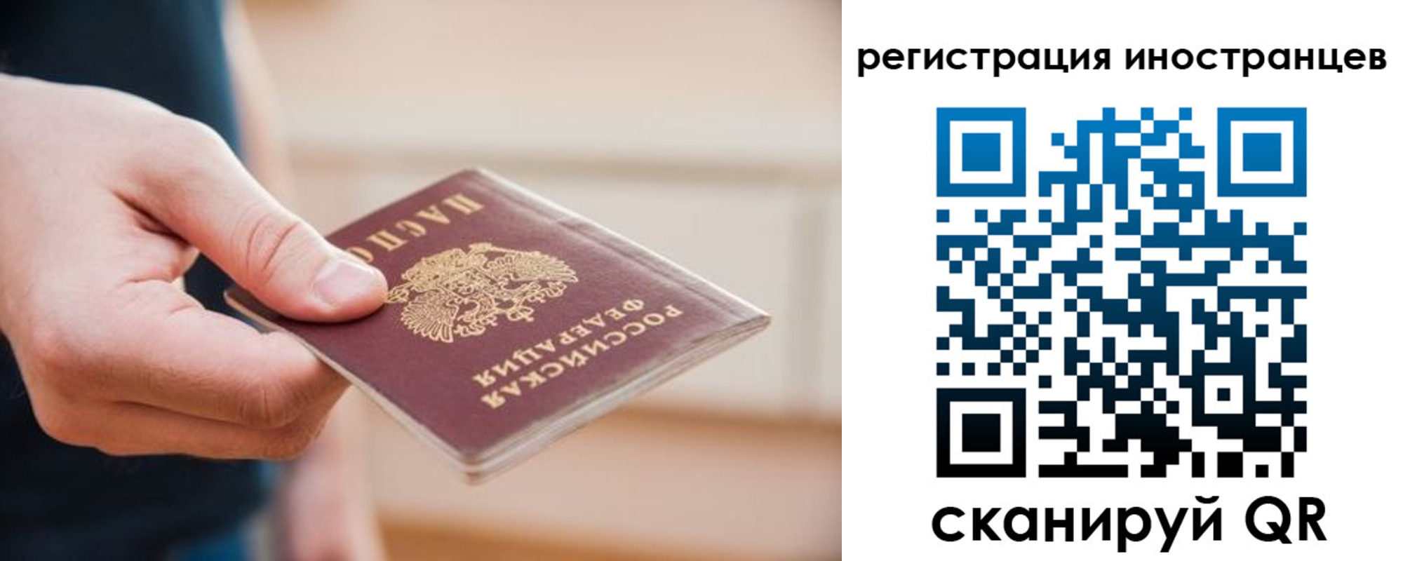 прописка гарантия в Лесном